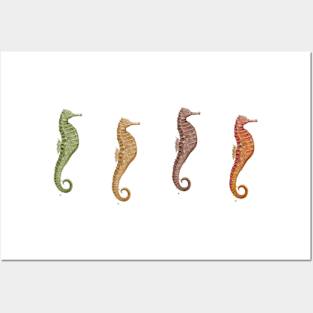 Seahorse Carousel..........Fantasy under the wondrous sea. Posters and Art